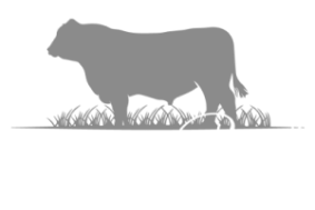 Lindo Beef, carne argentina